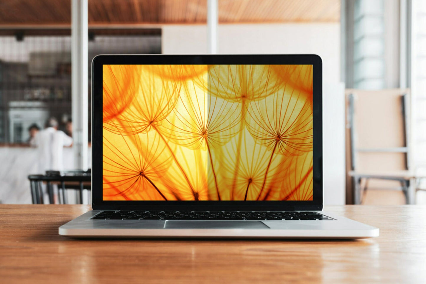 3M™ Bright Screen Privacy Filter for 14.1in Laptop, 16:10, BP141W1B